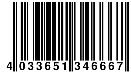 4 033651 346667