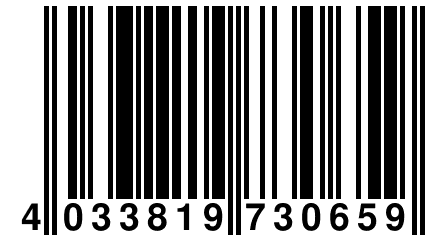 4 033819 730659
