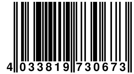 4 033819 730673