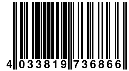 4 033819 736866
