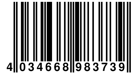 4 034668 983739