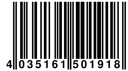 4 035161 501918