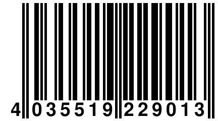 4 035519 229013