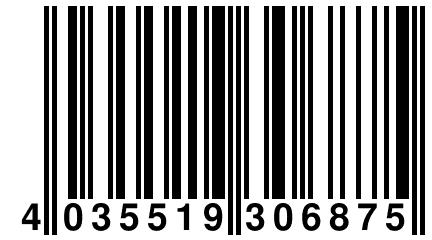 4 035519 306875