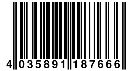 4 035891 187666