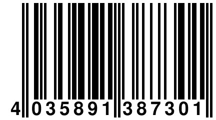 4 035891 387301