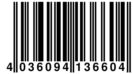 4 036094 136604