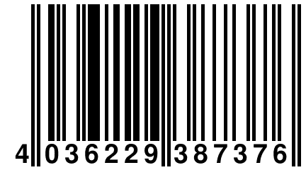 4 036229 387376