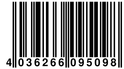 4 036266 095098