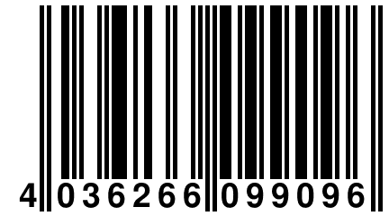 4 036266 099096