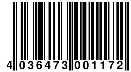 4 036473 001172