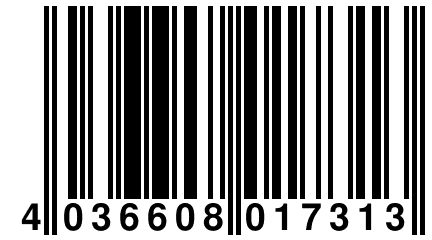 4 036608 017313