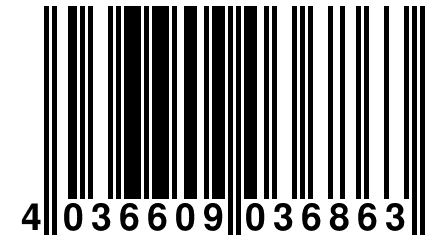 4 036609 036863