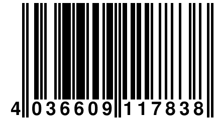 4 036609 117838