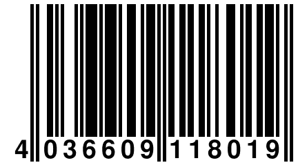 4 036609 118019