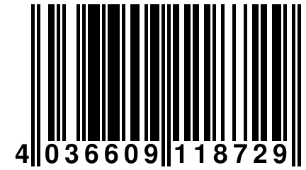 4 036609 118729