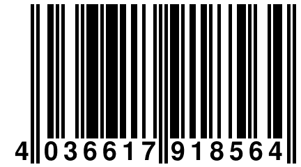 4 036617 918564