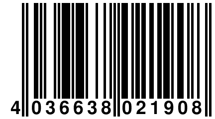 4 036638 021908