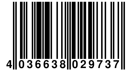 4 036638 029737
