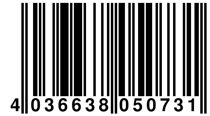4 036638 050731