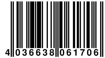 4 036638 061706