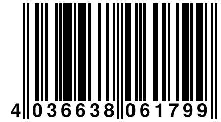 4 036638 061799