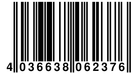 4 036638 062376