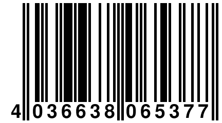 4 036638 065377