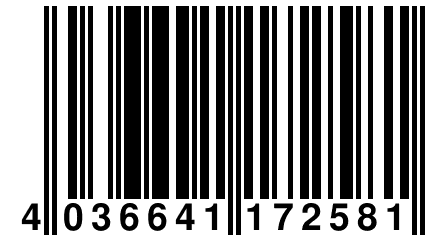 4 036641 172581