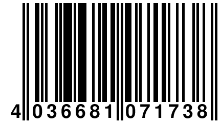 4 036681 071738