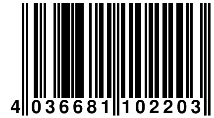 4 036681 102203