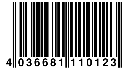 4 036681 110123