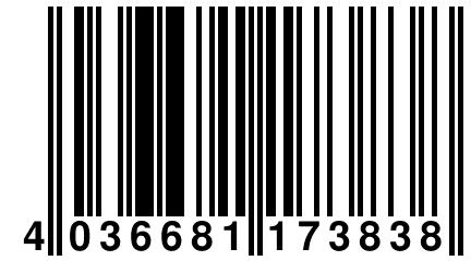 4 036681 173838