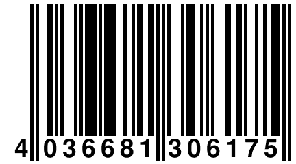 4 036681 306175