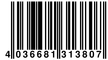 4 036681 313807