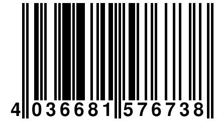 4 036681 576738