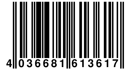 4 036681 613617