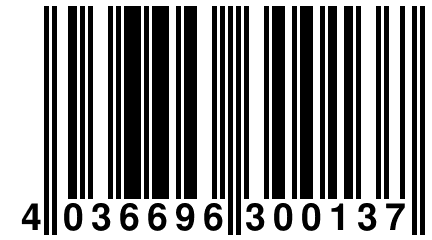 4 036696 300137