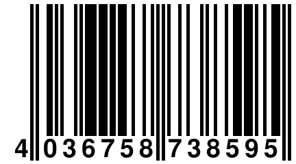 4 036758 738595