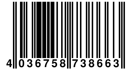 4 036758 738663