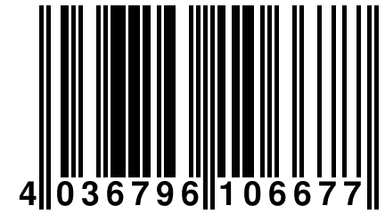 4 036796 106677