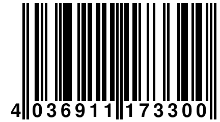 4 036911 173300