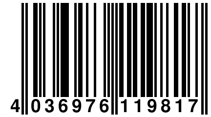 4 036976 119817