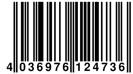 4 036976 124736