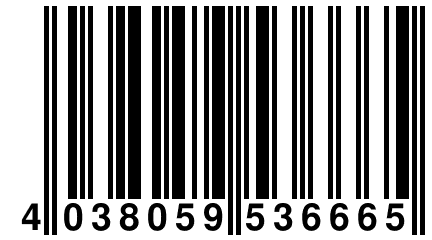 4 038059 536665