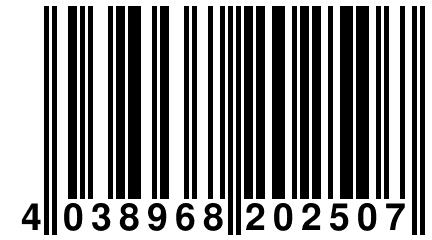 4 038968 202507