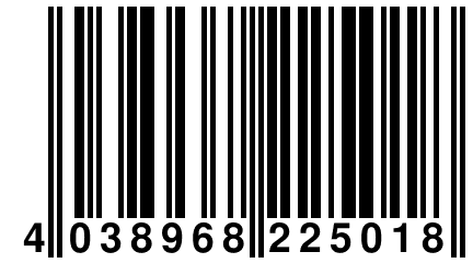 4 038968 225018