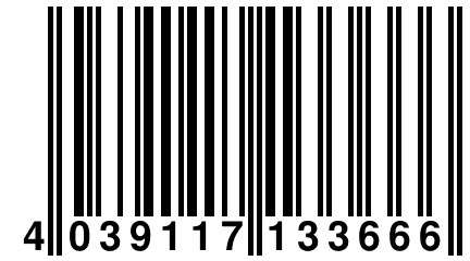 4 039117 133666