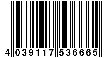 4 039117 536665