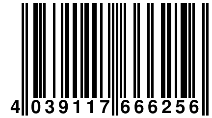 4 039117 666256